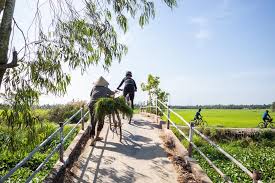 Mekong Delta Cycling Vietnam